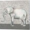 Introspective Elephant & Hippo by Elizabeth Medley 14" x 14" Canvas Wall Art (Set of 2)